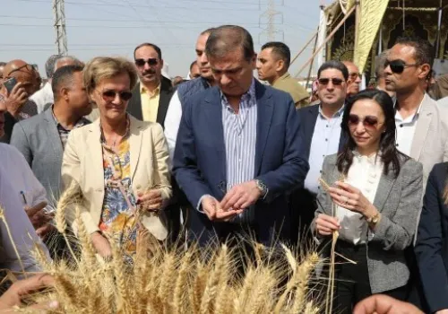 30 يونيو: تحول زراعي تاريخي يعزز الأمن الغذائي في مصر تحت قيادة السيسي