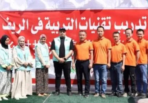 مبادرة أمل جديد: صناع الخير تعزز تمكين المرأة الريفية من خلال مشروعات إنتاج الدواجن