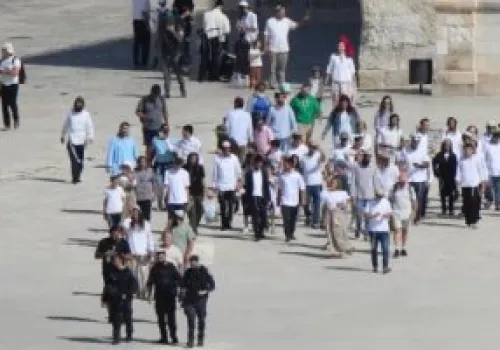 مستوطنون يعبثون بخط مياه حيوي ويستولون على أجزاء منه شرق طمون