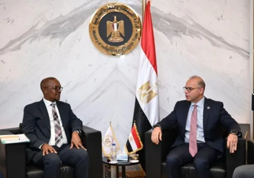 مصر وجنوب إفريقيا تتعاونان لتعزيز الصناعات الحيوية في السيارات والأدوية