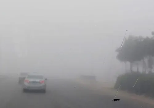 الأرصاد الجوية تحذر: شبورة كثيفة ورياح مثيرة للرمال والأتربة تضرب البلاد في الساعات القادمة