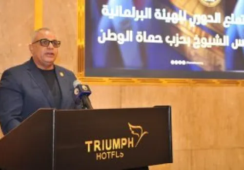حماة الوطن" بمجلس الشيوخ يضع خطة عمل مستقبلية لتعزيز التواصل مع المواطنين ومناقشة القضايا الحيوية