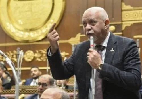 مجلس الشيوخ يوافق على اقتراح لإنشاء مقر دائم لقصر ثقافة طنطا ويعزز دعم الثقافة في مصر