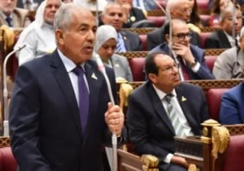 وكيل مجلس الشيوخ يؤكد أهمية تحديث قانون الشركات لمواكبة التحولات الاقتصادية الحديثة