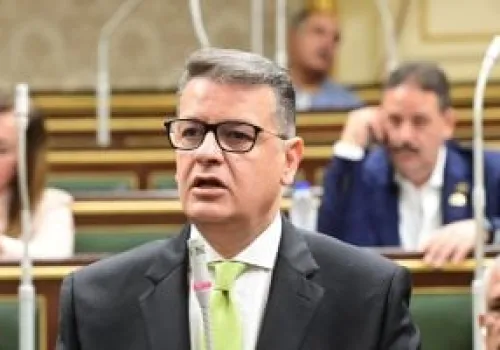 رئيس لجنة حقوق الإنسان بالنواب يدعو الحكومة لتقديم تقارير دورية كل 3 أشهر حول الموازنة العامة
