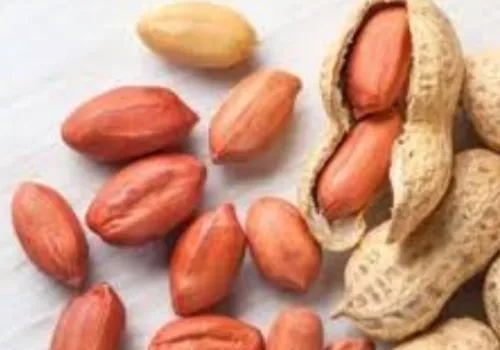 تحذيرات من استخدام صبغة محظورة في تلوين الفول السوداني تثير قلق المستهلكين في بني سويف
