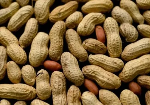 حملة رقابية تكشف مخاطر مادة الترترازين الصفراء في تسالي الأطفال ببني سويف