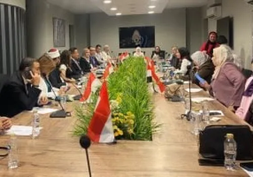 75% من الفتاوى المصرية تتعلق بقضايا الطلاق والأسرة، وأمين الفتوى يكشف الأسباب والحلول