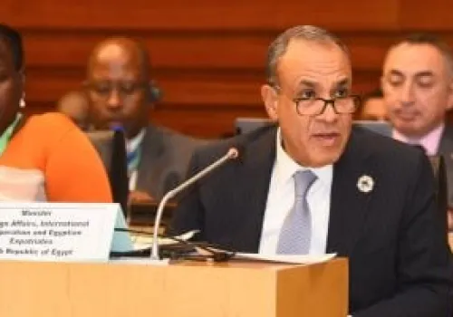 وزير الخارجية المصري: تعزيز التضامن العربي ضرورة لمواجهة التحديات الأمنية والقضية الفلسطينية