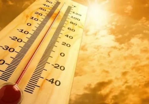 تحذيرات من الأرصاد: توخي الحذر أثناء القيادة بسبب شبورة الصباح في ثالث أيام الصيف بمصر
