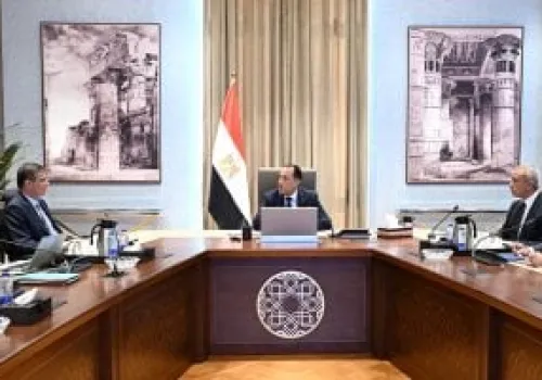 مصر تعزز الأمن الغذائي بخطة لتطوير محطة غرب المنيا لتربية الجاموس الخليط الإيطالي