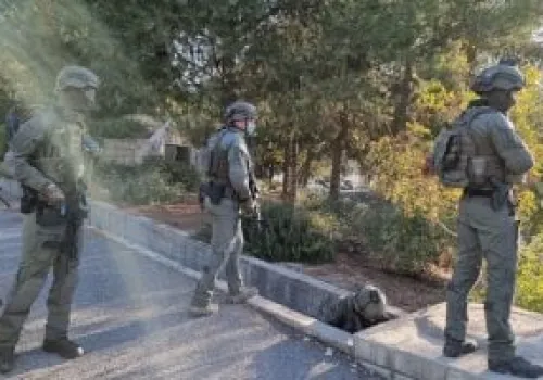 اقتحام مستوطنين للموقع الأثري في سبسطية وسط انتشار مكثف لقوات الاحتلال في نابلس