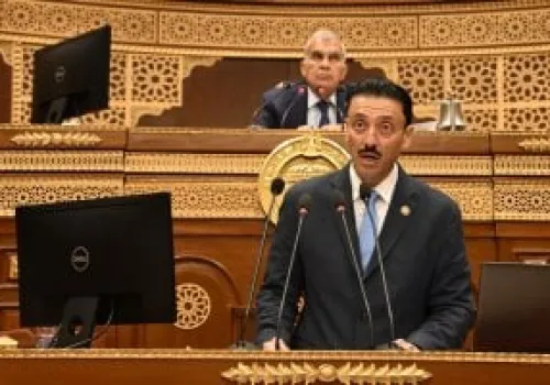 النائب محمد رزق يكشف عن وجود 3.74 مليون شركة في قطاع المشروعات الصغيرة والمتوسطة وأهمية دعمها للنمو الاقتصادي