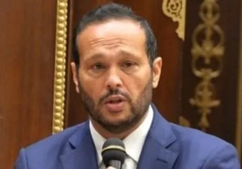 محمد حلاوة يدعو الحكومة لتعزيز الاستثمار في قطاع البتروكيماويات لتحقيق التنمية الاقتصادية المستدامة