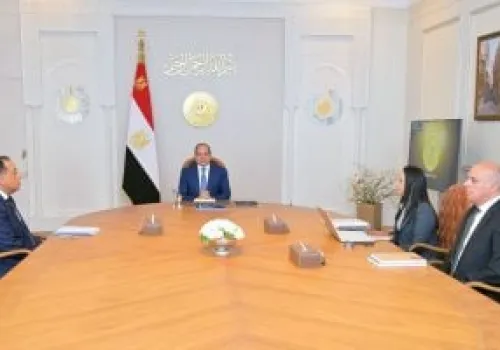 الرئيس السيسي يوجه بوضع استراتيجية شاملة لتطوير قطاع الحضانات ورعاية الطفولة المبكرة في مصر
