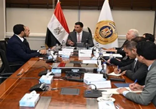 مصر تعزز التحول الأخضر في الصناعة بتطبيق شبكات طاقة شمسية مصغرة