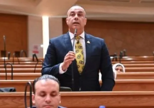 محمد بلتاجي: نجاح الموازنة يعتمد على تحويل الأرقام إلى فرص عمل وتحسين مستوى المعيشة