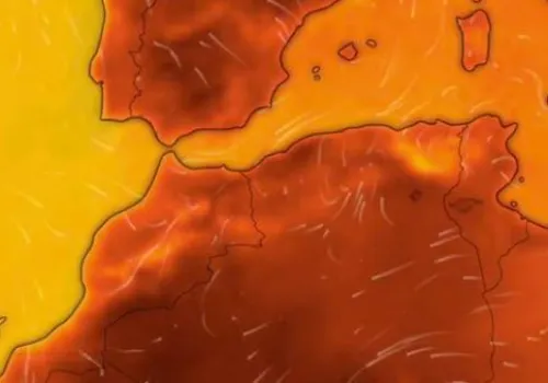 الأرصاد تحذر من شبورة مائية كثيفة وتكشف عن طقس حار في مصر الأربعاء