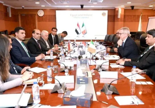 مصر وأيرلندا تتعاون لتعزيز الصناعات الدوائية والطاقة المتجددة ونقل التكنولوجيا