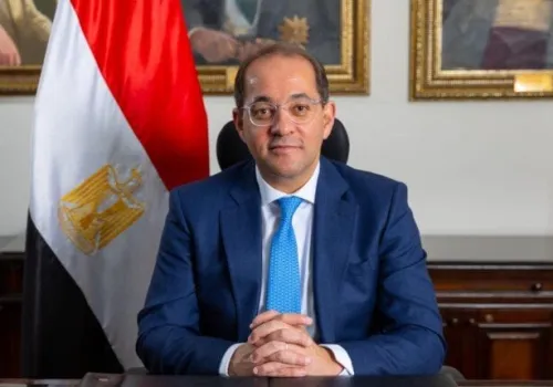وزير المالية المصري: ضرورة إنشاء سوق موحدة وتعزيز سلاسل التوريد في إفريقيا لمواجهة التحديات الاقتصادية