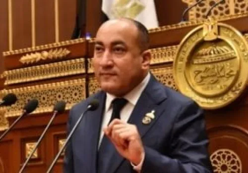 ثورة 30 يونيو: إرادة شعبية وقائد شجاع تعيد بناء مصر وتعزز الاستقرار والتنمية