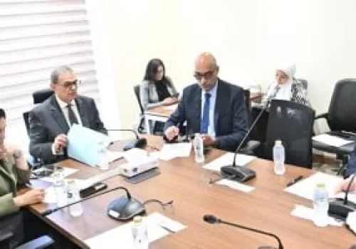 الكيماويات: رافعة التحول الصناعي في مصر نحو مستقبل واعد