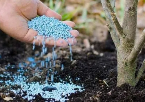 الزراعة تعلن توزيع 5.8 مليون شكارة أسمدة وتوفير 120 ألف شكارة يومياً للمزارعين في جميع المحافظات