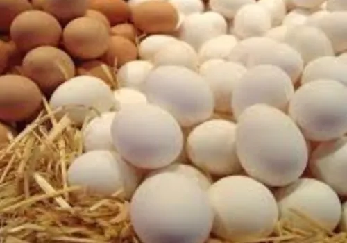 أسعار البيض في مصر تشهد قفزة مفاجئة بعد تراجع حاد: ماذا يحدث في السوق؟