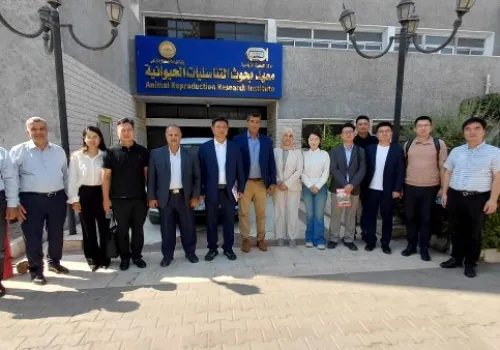 مصر تعزز التعاون العلمي مع الصين في قطاع الثروة الحيوانية بزيارة وفد من جامعة نانجين