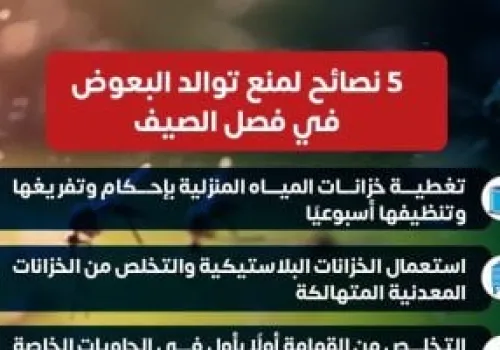 5 خطوات فعالة من وزارة الصحة لمكافحة تكاثر البعوض في الصيف