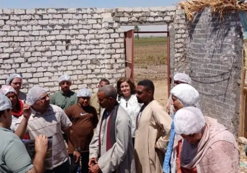 تدريب مبتكر لمربي الماشية في مصر: خطوة نحو تعزيز الثروة الحيوانية ومواجهة تحديات المناخ