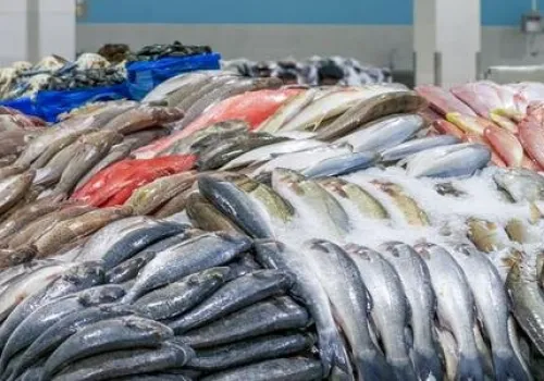 استقرار أسعار السمك والجمبري في مصر اليوم الأحد 28 يونيو 2026: تفاصيل الأسعار والأنواع المتاحة