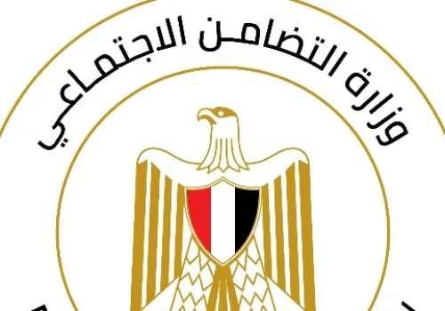 تعزيز جودة الحضانات: وزارة التضامن تطلق استراتيجية متكاملة لتطوير خدمات الرعاية للأطفال