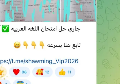 شاومينج يتسرب امتحان اللغة العربية للثانوية العامة بعد بدءه بـ50 دقيقة ووزارة التعليم تتحقق من صحة التسريبات
