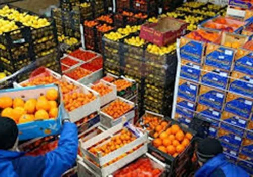 صادرات الغذاء المصرية تحقق ارتفاعًا ملحوظًا.. الموالح والبصل يتصدران المشهد