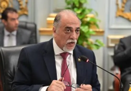 ثورة 30 يونيو: تجسيد لإرادة الشعب المصري نحو الأمن والتنمية المستدامة