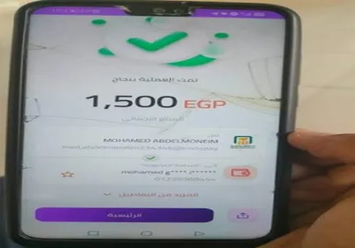 تحذير هام من "إنستاباي": تحقق من طلبات الدفع لحماية أموالك من الاحتيال!