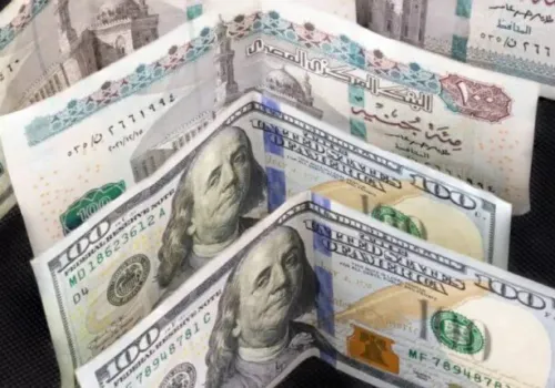 الدولار يواصل تراجعه إلى 49 جنيهاً وسط تدفقات نقدية قوية وطرح حكومي في البورصة
