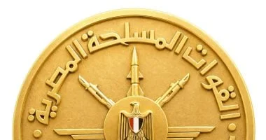 مبادرة 'مصر معاكم': بدء صرف الدعم للقصر من أبناء شهداء الجيش والشرطة