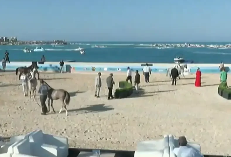 بطولة جمال الخيول العربية تضيء الساحل الشمالي خلال مهرجان يلا ساحل