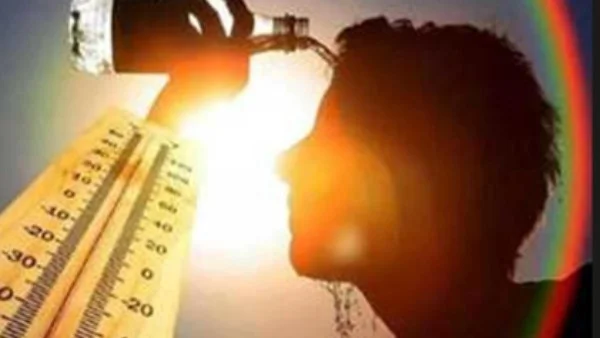 الأرصاد الجوية تحذر من ارتفاع درجات الحرارة إلى 46 درجة والشبورة تعود للظهور في طقس الاثنين