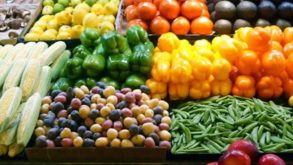 الصادرات الزراعية المصرية تحقق قفزة تاريخية بفضل الموالح والبطاطس والعنب