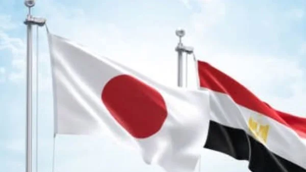 مصر تعزز صادرات البرتقال إلى اليابان وتحقق مكانة رائدة كثالث أكبر مورد عالمي