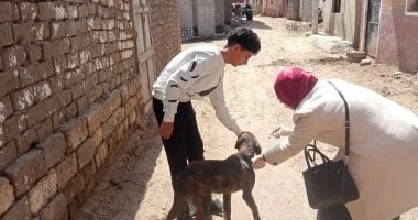 تحذيرات من نائب رئيس مركز البحوث الزراعية: لا علاج لمرض السعار بعد ظهور الأعراض