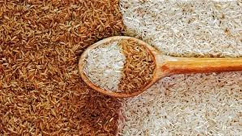استقرار أسعار الأرز الشعير في مصر: طن الأرز يبدأ من 14 ألف جنيه اليوم 20 يوليو 2026