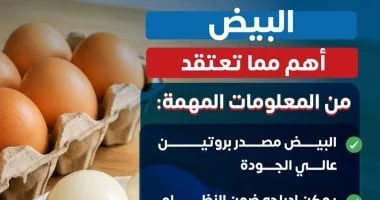 وزارة الصحة: البيض عنصر غذائي أساسي لتحقيق توازن صحي في النظام الغذائي
