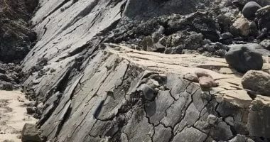 فنزويلا تعلن ارتفاع حصيلة ضحايا الزلزال إلى 5278 قتيلاً وسط دمار شامل للأراضي والمباني