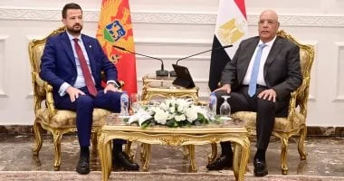مصر والجبل الأسود: تعزيز العلاقات ودعم القضية الفلسطينية في لقاء تاريخي