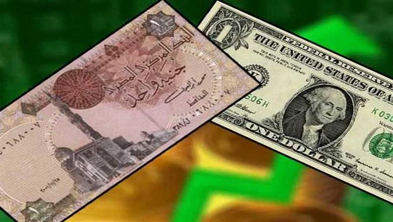 استقرار ملحوظ في سعر الدولار مقابل الجنيه المصري مع بدء تعاملات الأربعاء 22 يوليو 2026