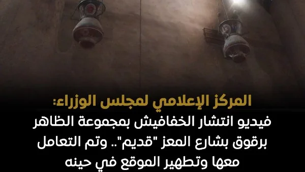 توضيح حول فيديو انتشار الخفافيش في مجموعة الظاهر برقوق بشارع المعز: قديم وليس حديث